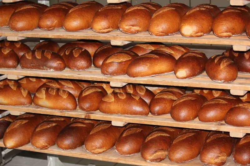Frische Brote auf dem Gestell – Bäckerei Konditorei Ibo Beck